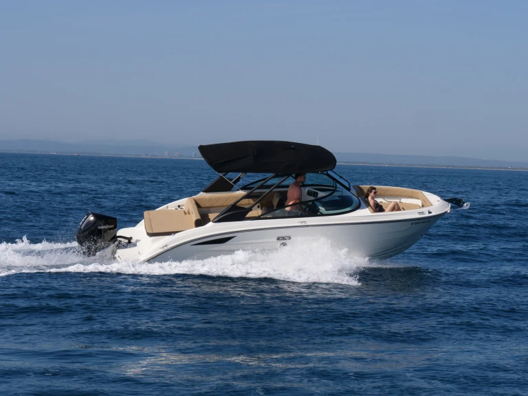 Bareboat Rental Motorboat Sea Ray with a boat licence