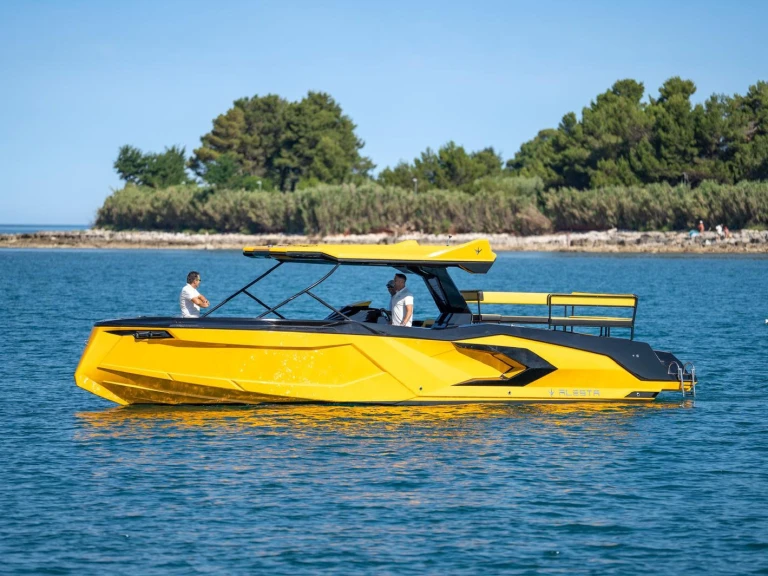 Motorboat rental with or without captain  Aalsmeer