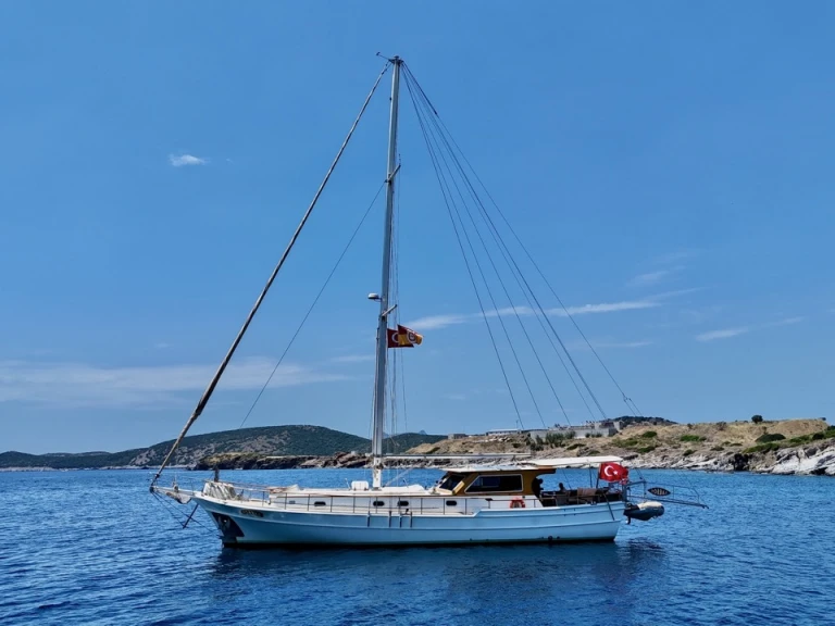 Custom Made Zorbas in Bodrum on SamBoat