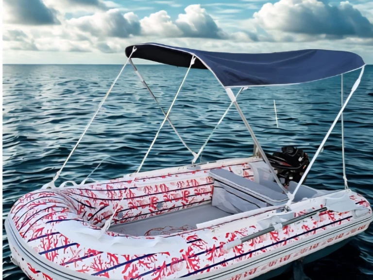 Yacht charter Le Brusc cheap RIB3