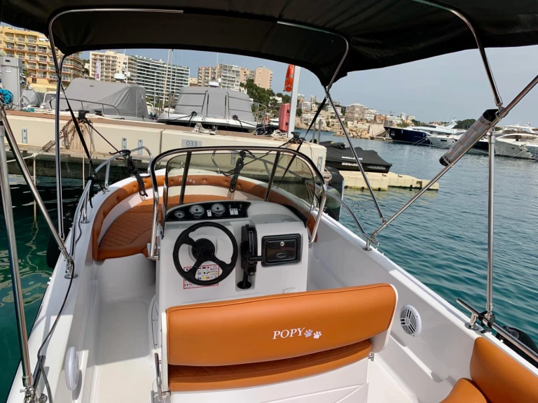 Yacht charter Palma de Mallorca cheap Challenger 19