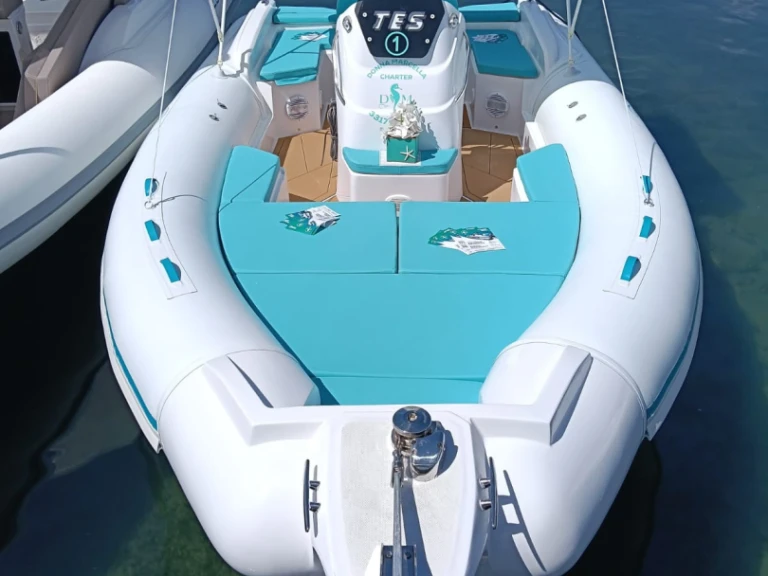 RIB rental in Pisciotta - Tes Marine Sport 