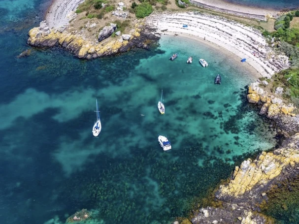 Zodiac Pro 9 Man charter bareboat or captained in  Ploubazlanec