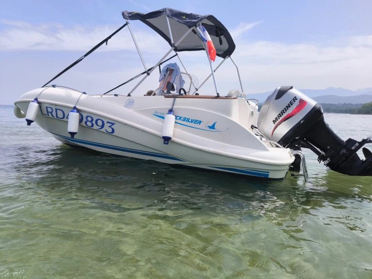 Motorboat rental with or without captain Quicksilver Amphion-les-Bains