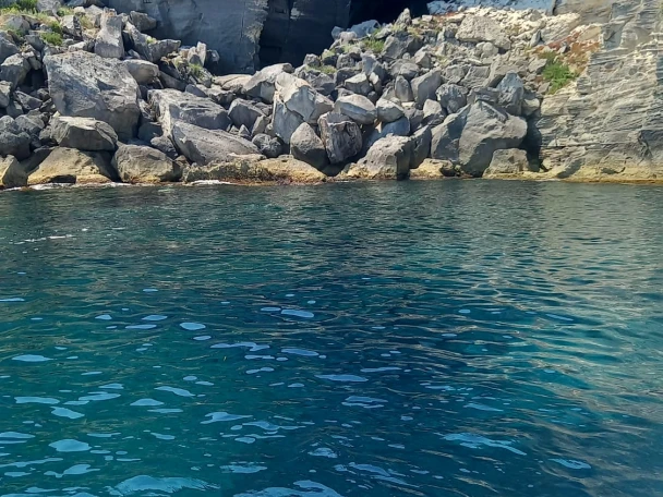 Combac Shark  in Marsala on SamBoat
