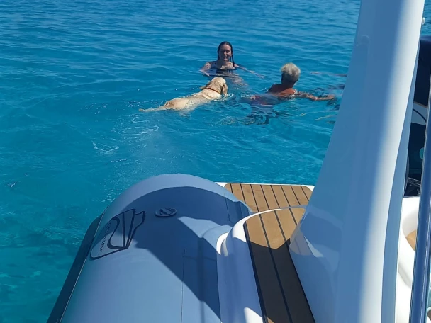 Yacht charter Marsala cheap Shark 