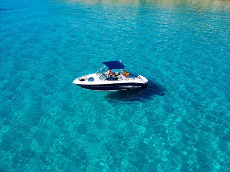 Motorboat rental with or without captain Sea Ray Sant Antoni de Portmany