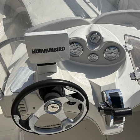 Motorboat rental with or without captain Quicksilver Amphion-les-Bains
