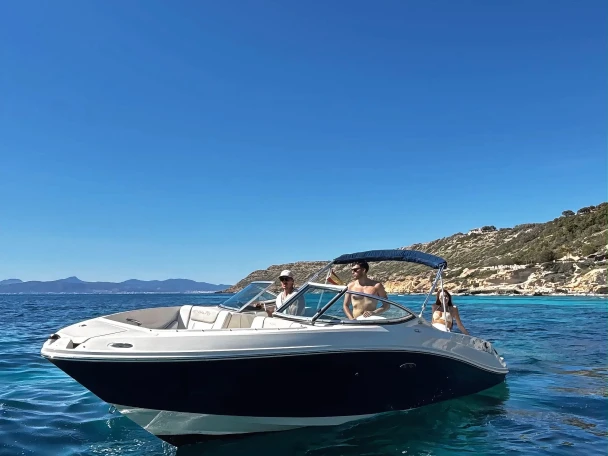 Motorboat for rent Port d'Andratx at the best price