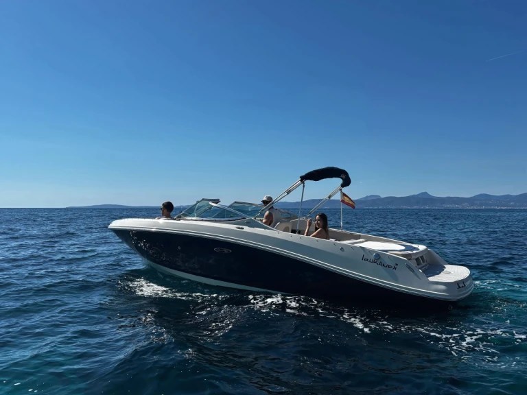 Sea Ray Sea Ray 230 in Port d'Andratx on SamBoat