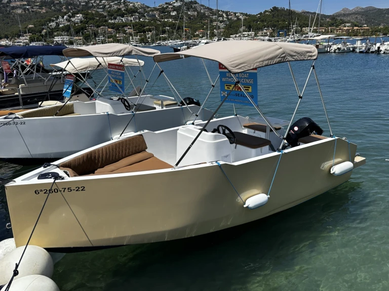 Motorboat for rent Port d'Andratx at the best price