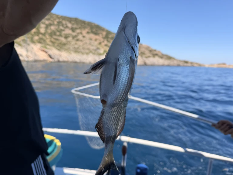 Traditional Greek  charter bareboat or captained in  Pórto Ráfti