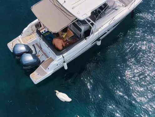 Motorboat for rent Mandelieu-la-Napoule at the best price