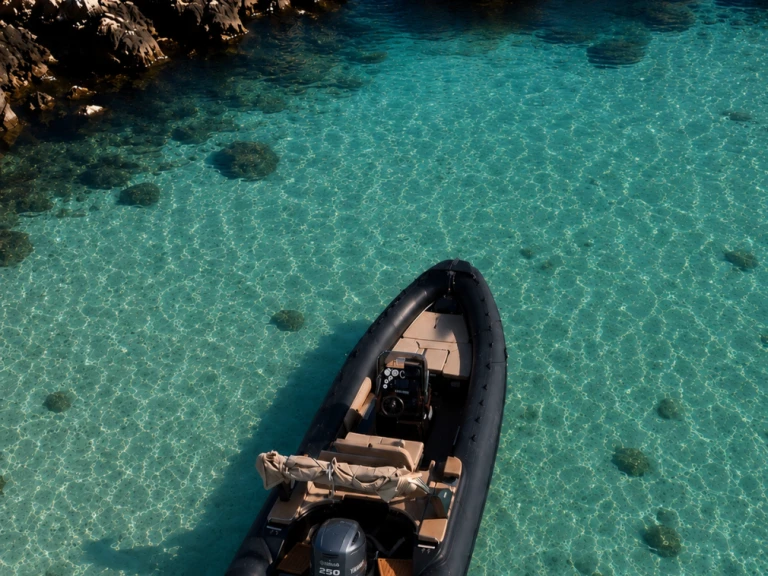 RIB for rent Saint-Cyr-sur-Mer at the best price