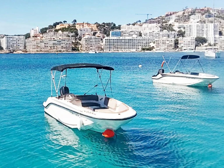 Motorboat rental with or without captain Bayliner Palma de Mallorca
