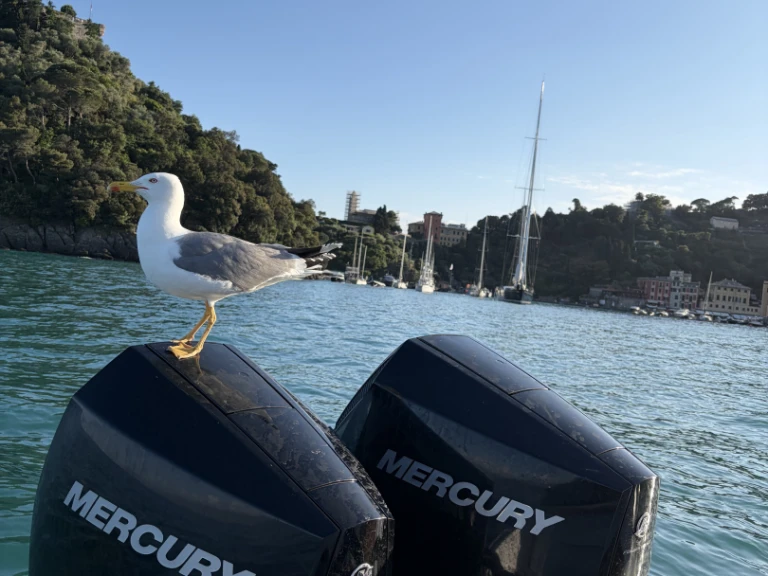 Rent a SCAND  Scand 9200 Rapallo