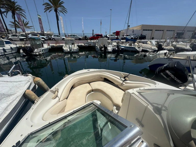 Bareboat Rental Motorboat Sea Ray with a boat licence