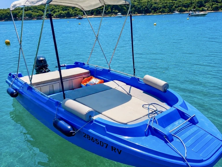 ROTO Family 450 in Rovinj on SamBoat