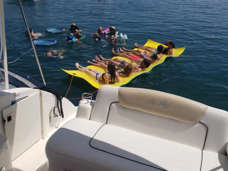 Motorboat rental in Miami - Sea Ray Sea Ray 300 Sundancer