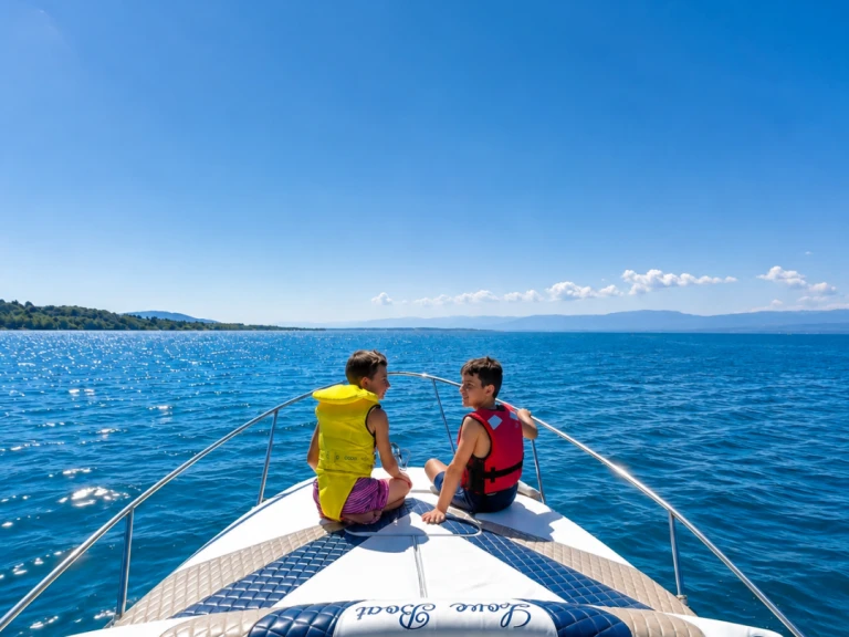 Rent a Bayliner Bayliner 255 Thonon-les-Bains