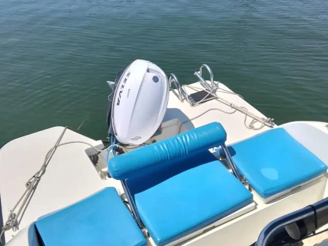 V2 BOATS 5.0 SPORT charter bareboat or captained in  Can Pastilla