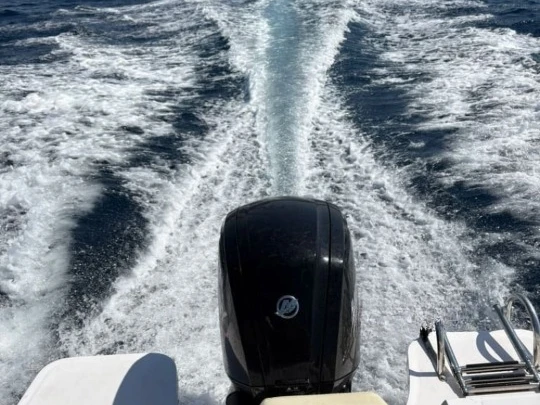 Motorboat for rent Port de Palamós at the best price
