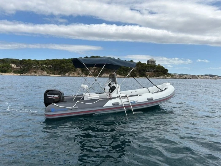 Boat rental Silver 495 in Palamós on Samboat