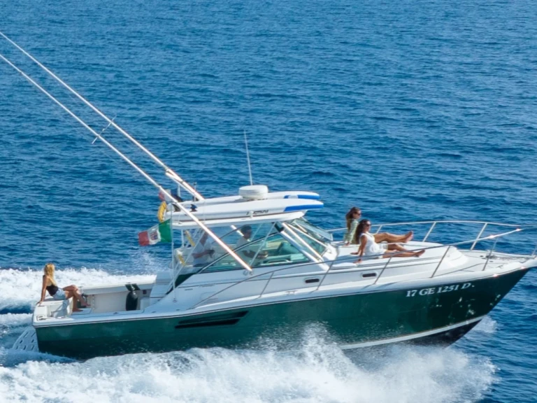 Motorboat rental with or without captain Pursuit Marseille