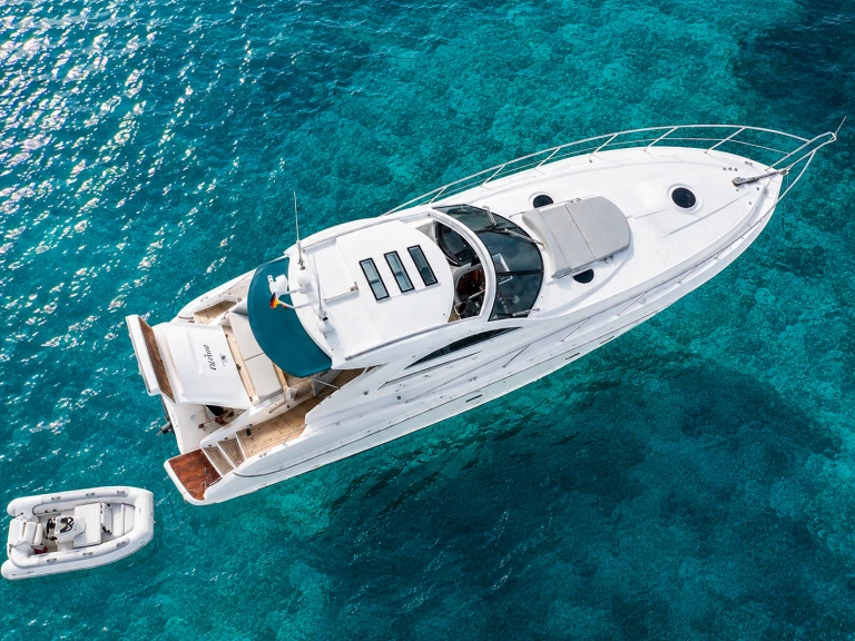 Boat rental Sunseeker Portofino 53 in Marina de Dénia on Samboat