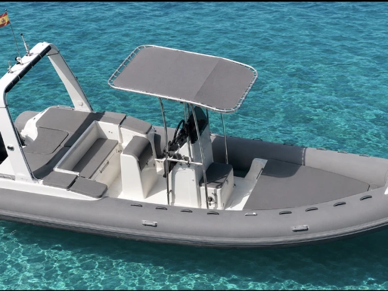 RIB for rent La Savina at the best price