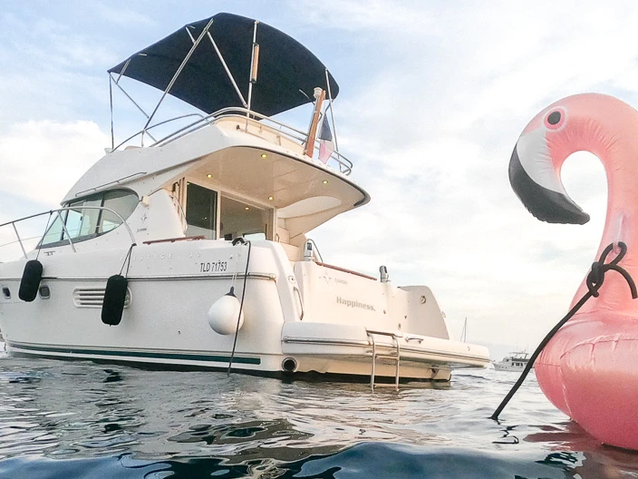 Motorboat rental with or without captain Jeanneau Nice