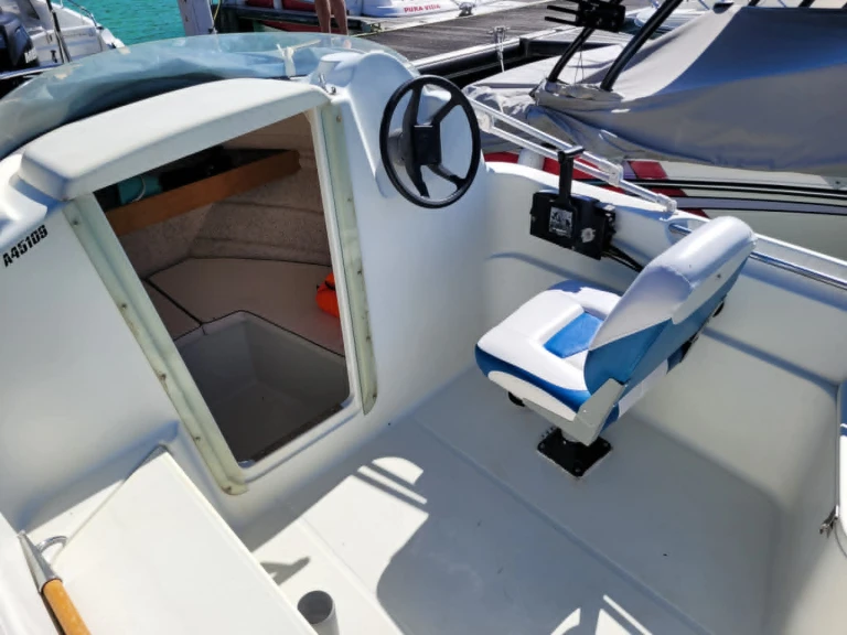 Motorboat rental with or without captain Quicksilver La Tour-du-Meix