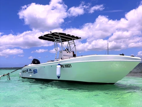 Boat rental Forboat 23' in Pointe-à-Pitre on Samboat