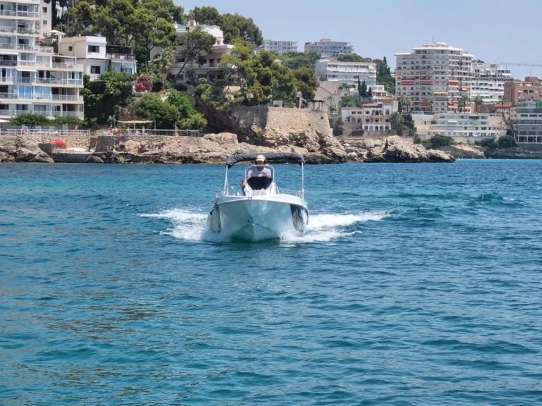 Motorboat rental with or without captain Trimarchi Palma de Mallorca