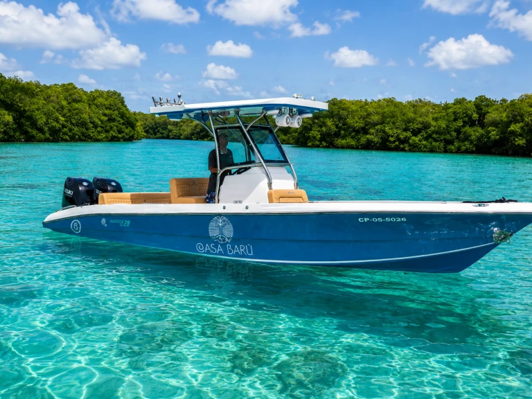 Catamaran rental in Bahía de Cartagena de Indias - Custom Made custom