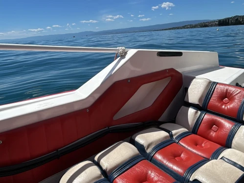 Ocqueteau Boxer 44 charter bareboat or captained in  Lutry