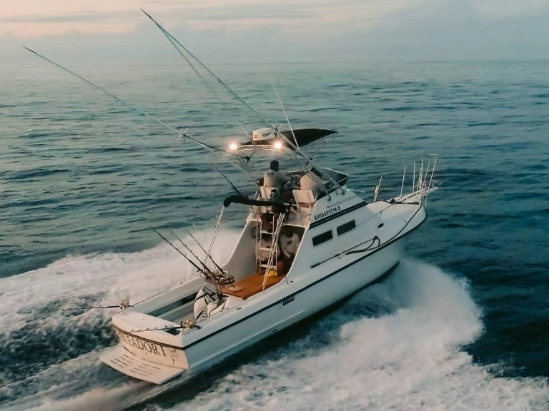 Custom Made custom charter bareboat or captained in  Cabo San Lucas