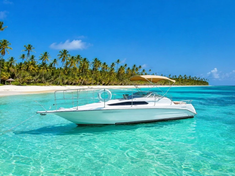 Rent a Custom Made custom Punta Cana