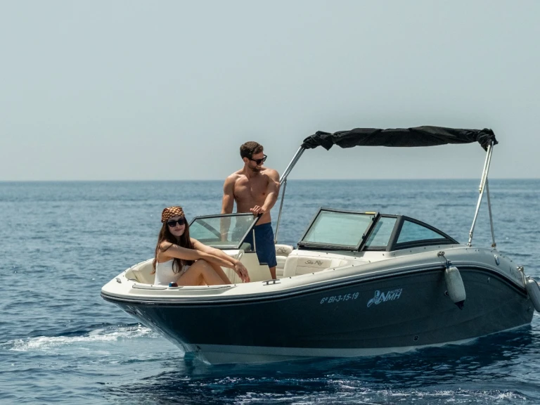 Boat rental Sea Ray SPX 190 in La Herradura on Samboat