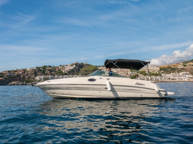 Motorboat rental with or without captain Sea Ray La Herradura