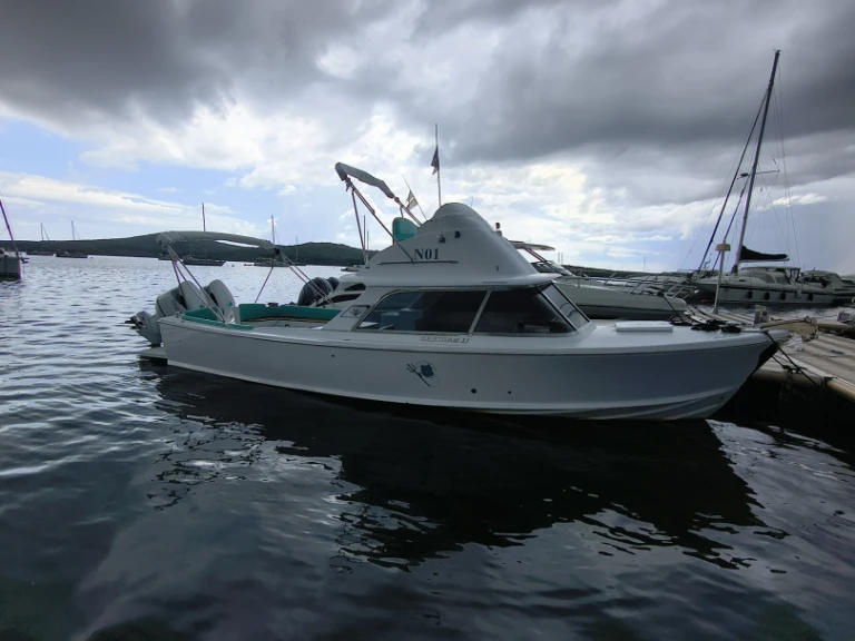 Motorboat rental in Porto Pozzo - Bertram 31
