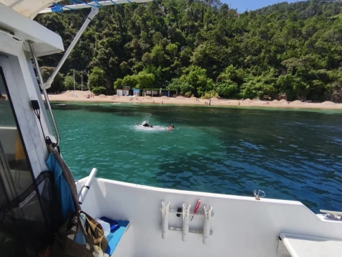 Yacht charter Mandelieu-la-Napoule cheap Eider Marine 590 Sea Rover