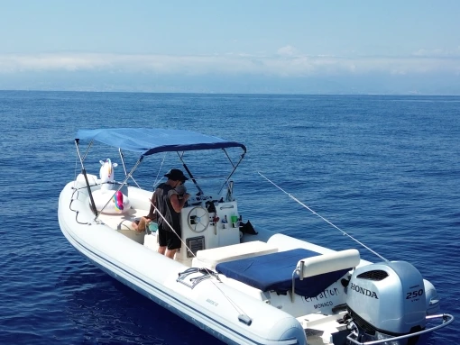 RIB for rent Monaco-Ville at the best price