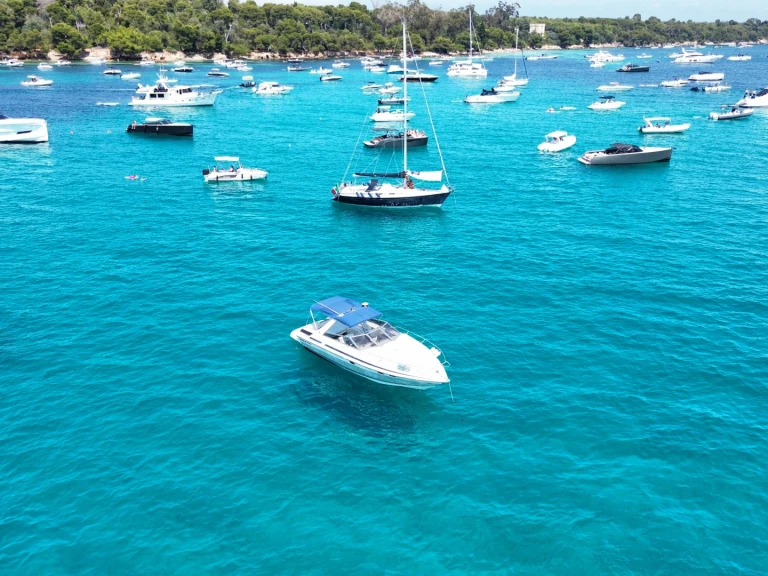 Motorboat rental with or without captain Sunseeker Cannes