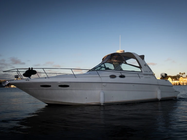 Bareboat Rental Motorboat Sea Ray with a boat licence