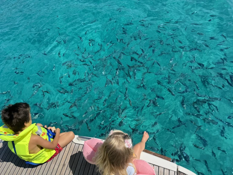 Motorboat rental with or without captain Jeanneau Mandelieu-la-Napoule