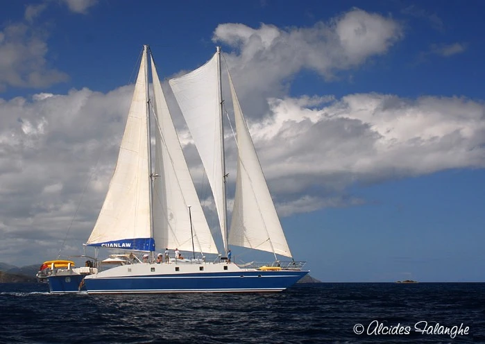 Boat rental Muirhead Trimaran CUAN LAW in Road Town on Samboat
