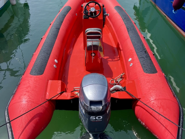 Boat rental Cobra 550 in Sant Andreu de Llavaneres on Samboat