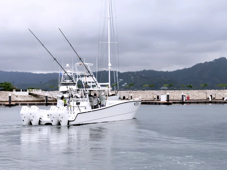 Motorboat rental with or without captain Custom Made Playa Flamingo