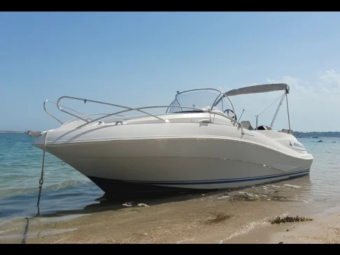 Quicksilver Quicksilver 555 WA Commander charter bareboat or captained in  Trébeurden